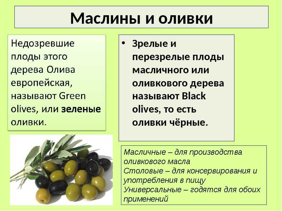 Чем отличаются оливки от маслин и что полезнее?
