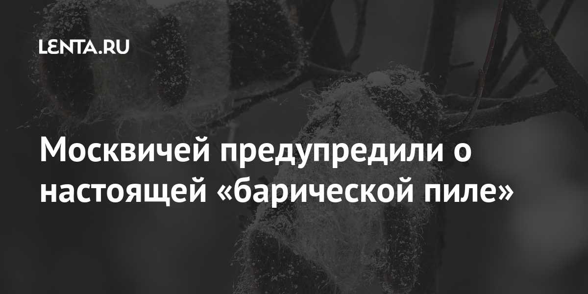 Что такое «барическая пила»? | вопрос-ответ | аиф аргументы и факты в беларуси