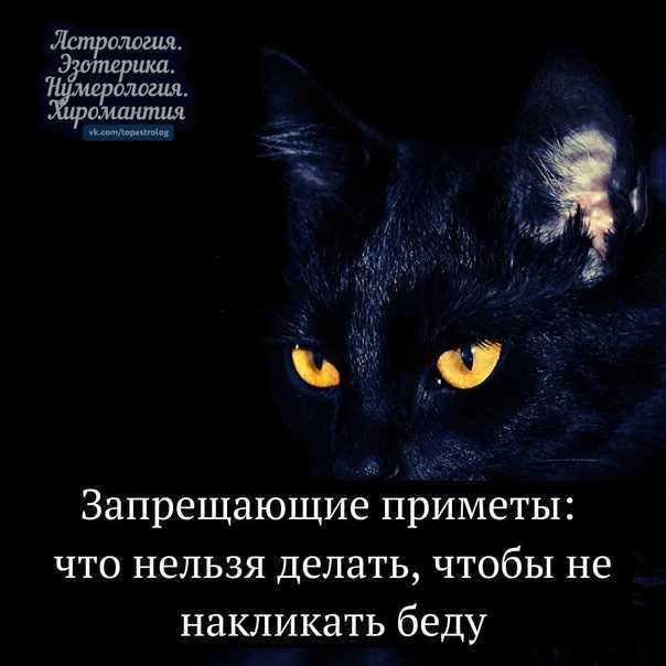 Знаменитые водолеи