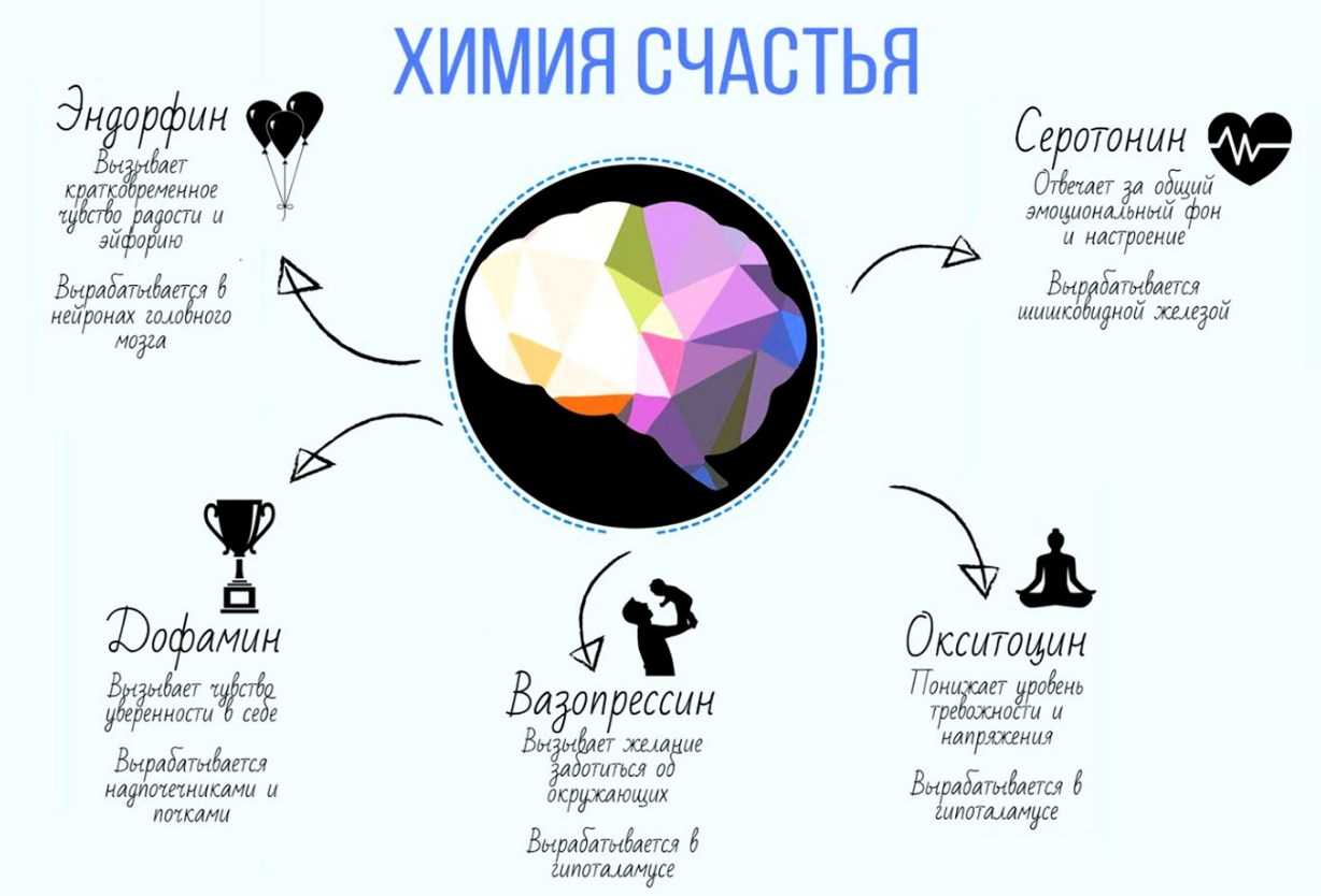 Гормоны счастья и радости: серотонин, эндорфины | азбука здоровья