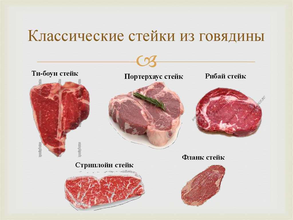 Схема разделки говядины | щиборщи