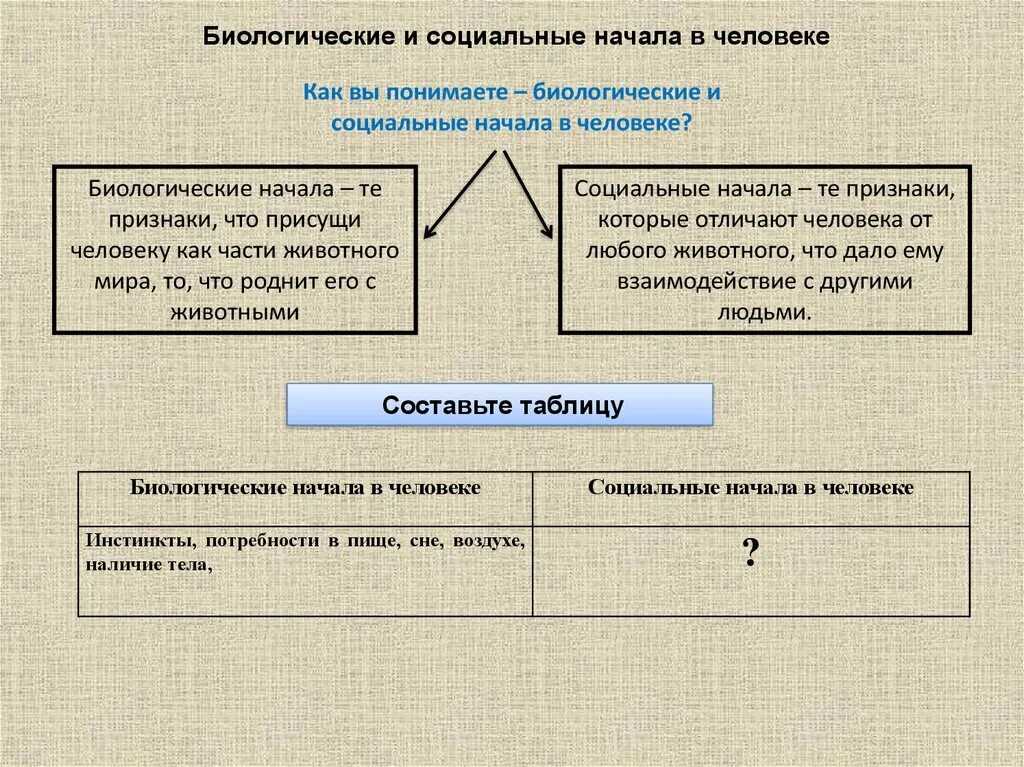 Альтруизм: что это, виды, примеры | рбк тренды