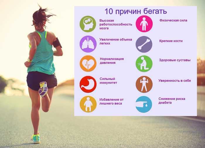 20 минут кардио: особенности тренировок, мифы и заблуждения, советы тренеров - tony.ru
