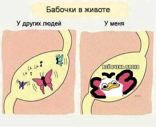 Химия любви - это болезнь, гормоны, феромоны, исследования ученых, сколько длится реакция | азбука здоровья