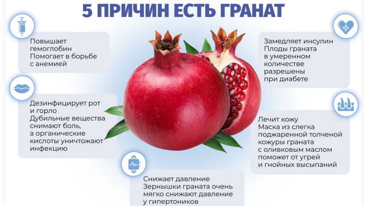 Рассказываем как правильно есть гранат какие полезные свойства он в себе сочетает а также делимся лучшими рецептами блюд с его добавлением
