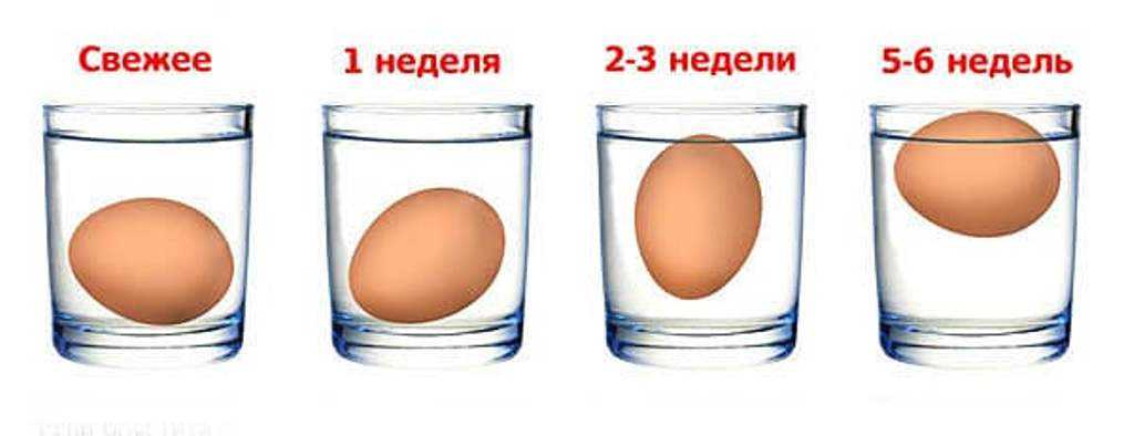 Как определить свежесть яиц: 4 простых способа