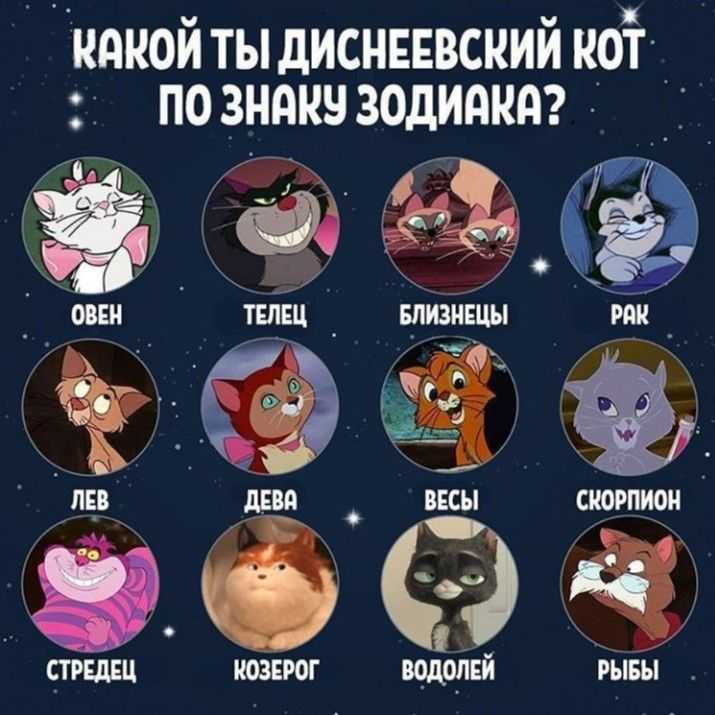 Самый любопытный знак зодиака, подробный рейтинг