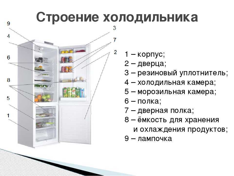 Как выбрать холодильник, мнение специалистов