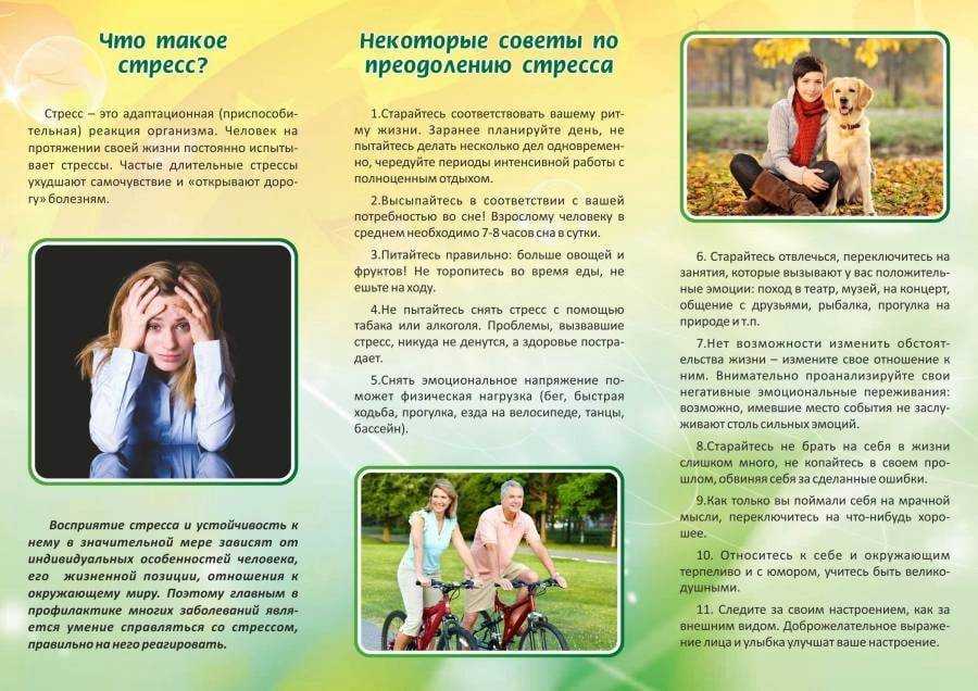 Лечебные звери