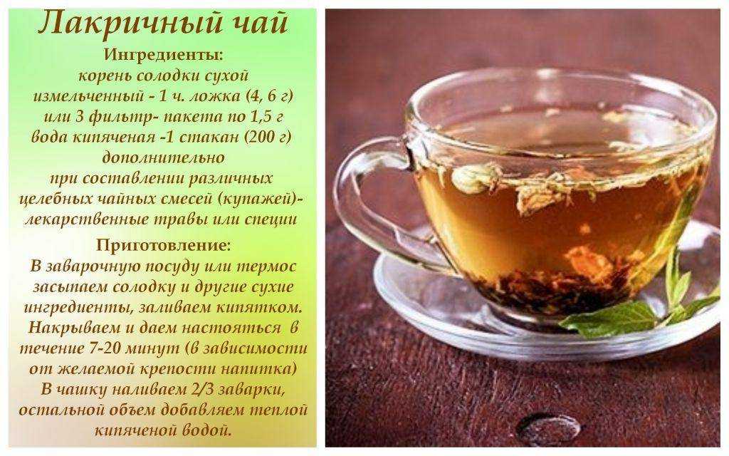 Чабрец (тимьян) лечебные свойства, изучаем пользу и вред