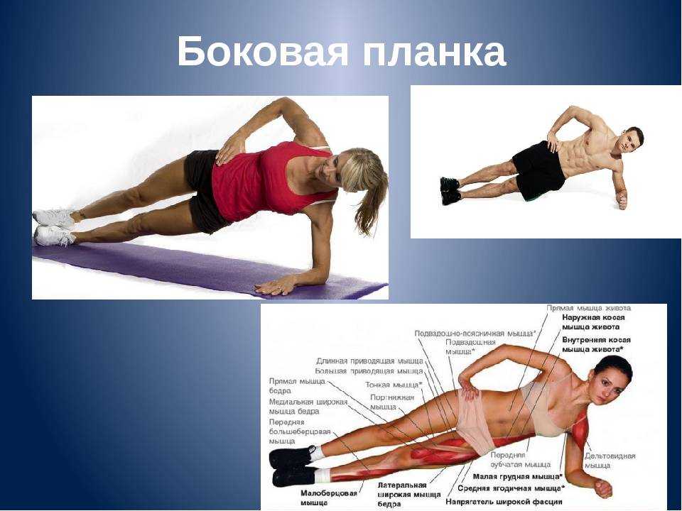 Как накачать спину в домашних условиях : практический курс для девушек