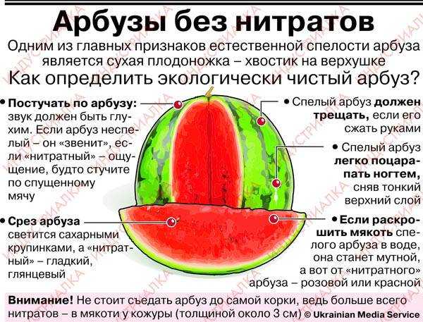 Можно ли арбуз при грудном вскармливании кормящей маме