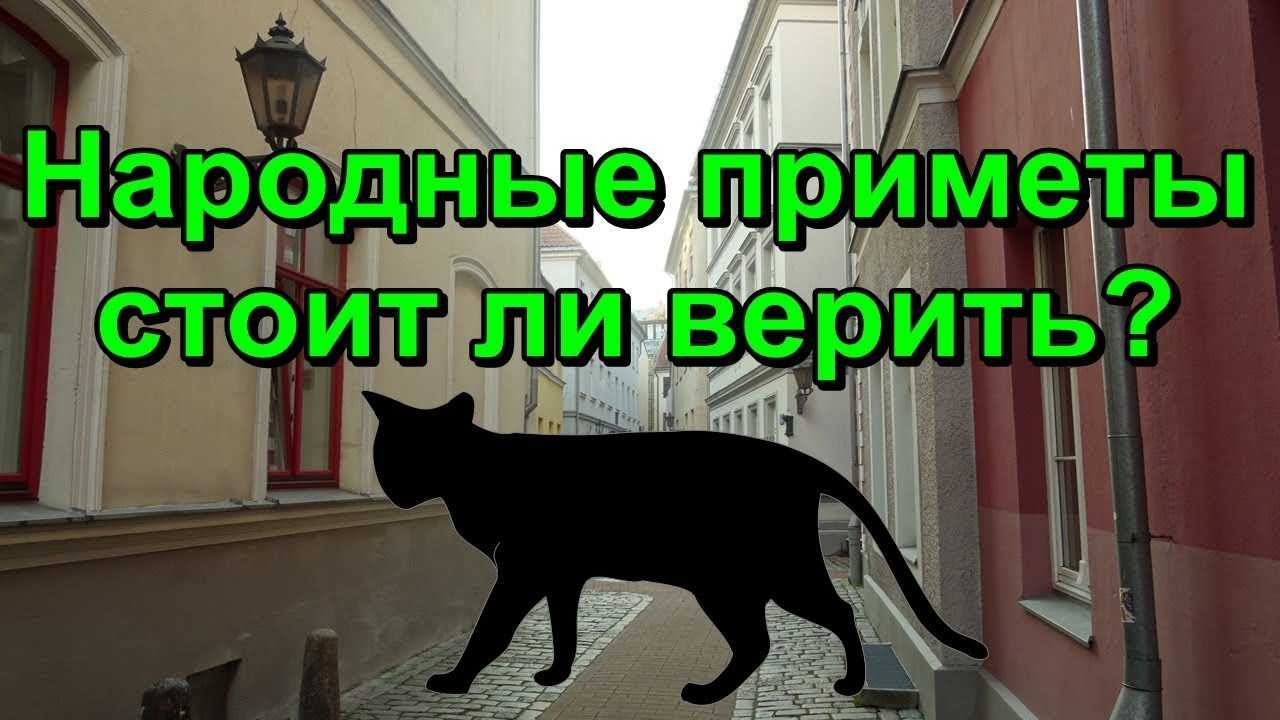 Приметы - стоит ли верить и как это работает? | магия в нас и вокруг нас вики | fandom