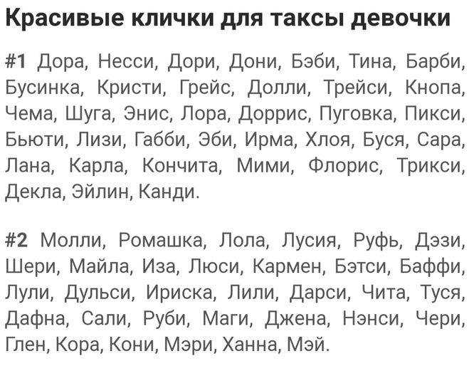 Почему собак называют на определенную букву – как выбирать клички щенкам?