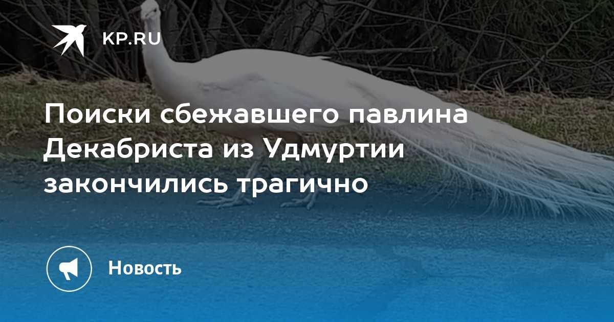 Три реальные истории: каких мужчин можно встретить на сайтах знакомств?
