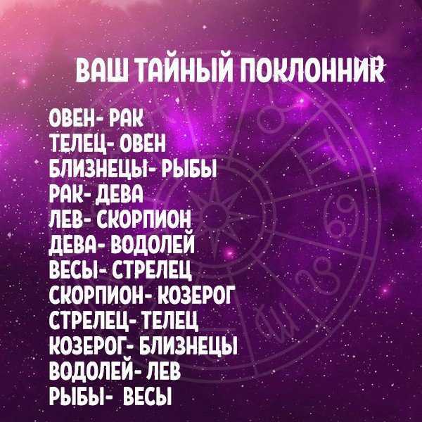 Общая характеристика знака стрелец: любовь, совместимость, здоровье, профессия - 24сми