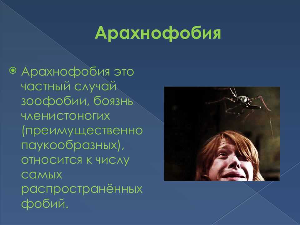 Арахнофобия – что это такое? (причины, как избавиться)