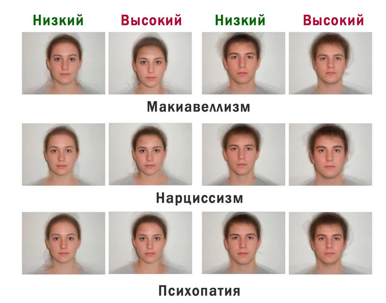Женщина «скотинка непонятливая, но зато забавная и милая» — эразм роттердамский