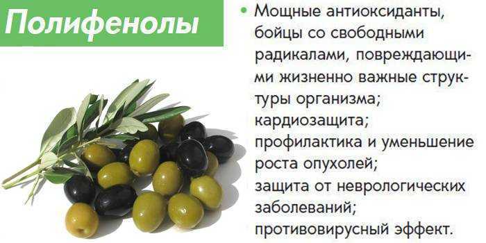 Что более полезно оливки или маслины? | польза и вред
