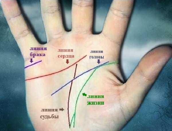 5 важных знаков удачи и успешности у вас на ладони: а у вас они есть?  :: инфониак