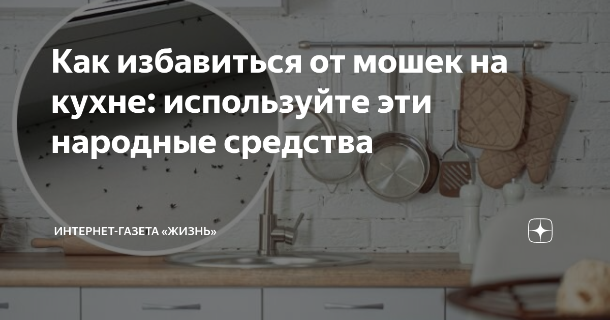 Как избавиться от мошек на кухне: причины появления, виды насекомых, средства