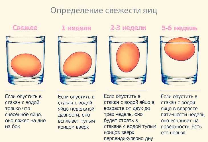 При какой температуре можно хранить яйца