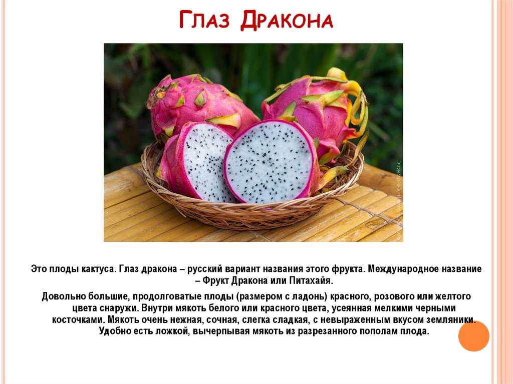 15 тропических фруктов, которые надо обязательно попробовать