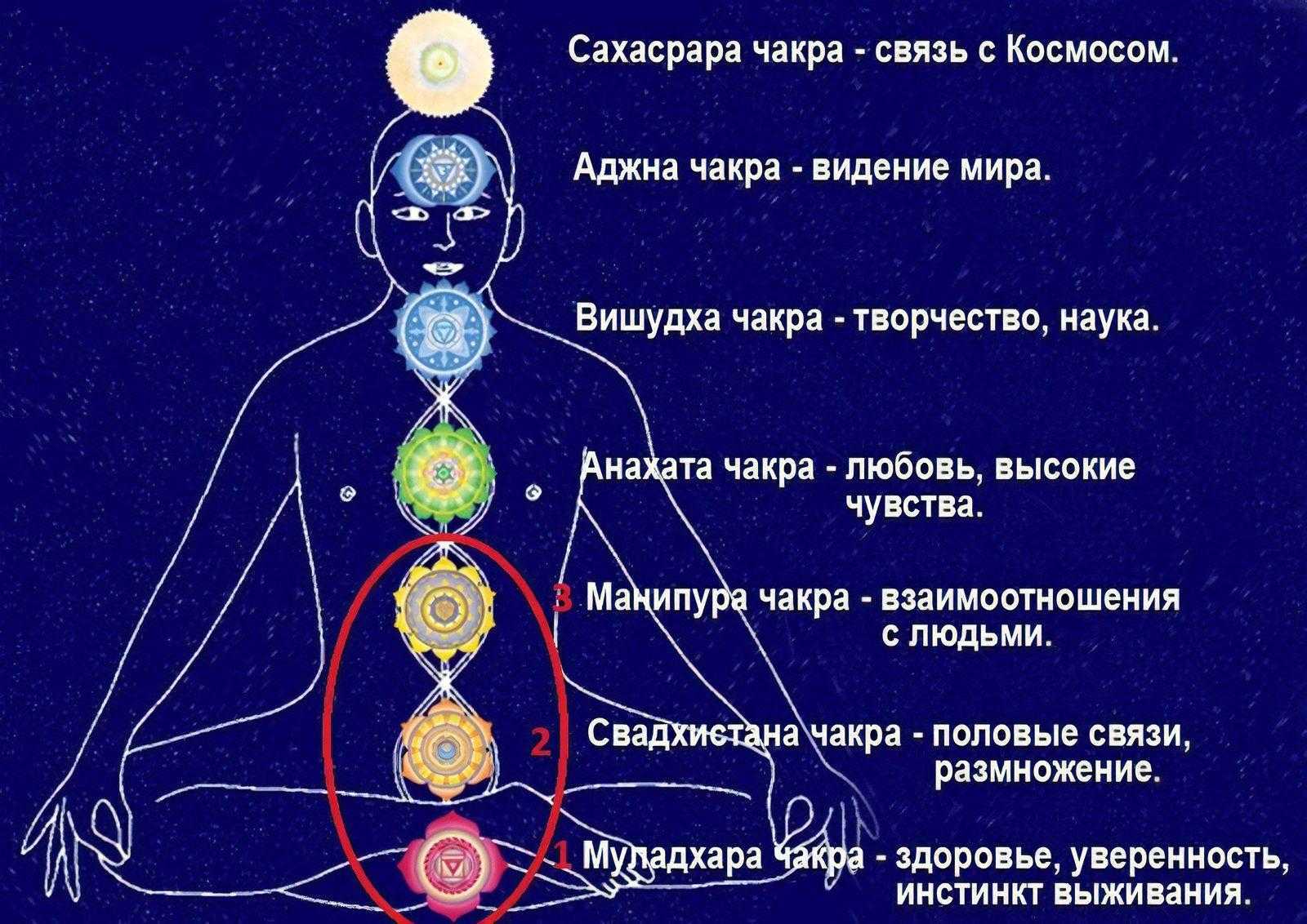 Чакры человека: что такое чакры и каково значение каждой из 7 чакр » университет mindvalley