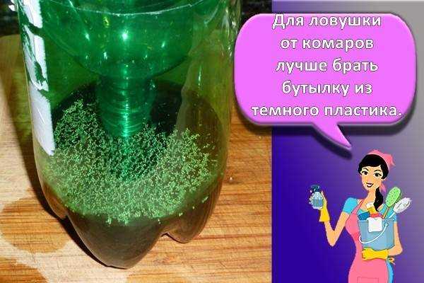 Народные средства от комаров в домашних условиях