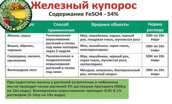 Свойства и применение медного купороса