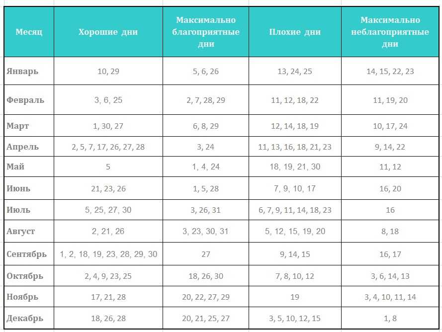 Даты для свадьбы в 2022 году: выбираем лучшее время