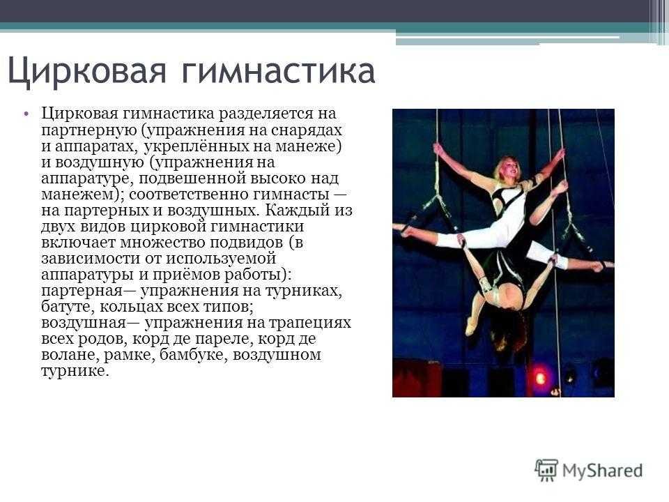 Это больше, чем спорт: воздушная гимнастика глазами ирины кривошей авторский театральный журнал izkulis.ru