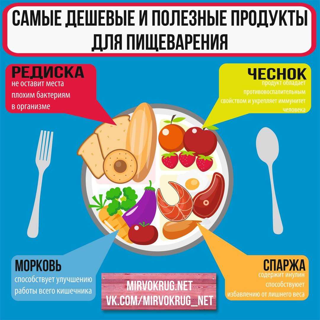 Почему здоровое пищеварение – залог счастливой жизни? ответ гастроэнтеролога ркб им. н.а.семашко