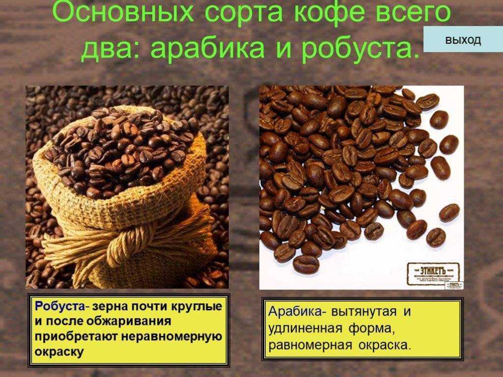 Сорта кофе в зернах (арабика, робуста, либерика эксцельса)