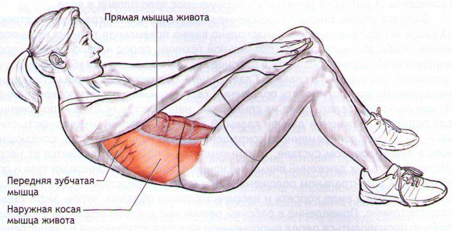 10 упражнений, которые за месяц исправят вашу осанку и избавят от боли в спине