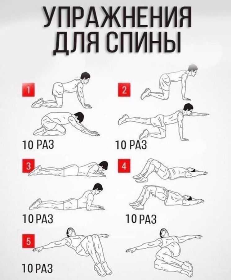 Упражнения с фитнес резинками - примеры тренировок