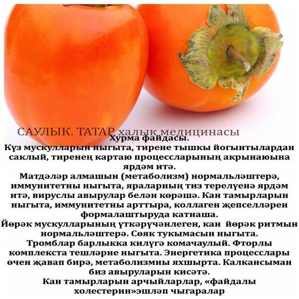 Топ-10 полезных фруктов для беременных