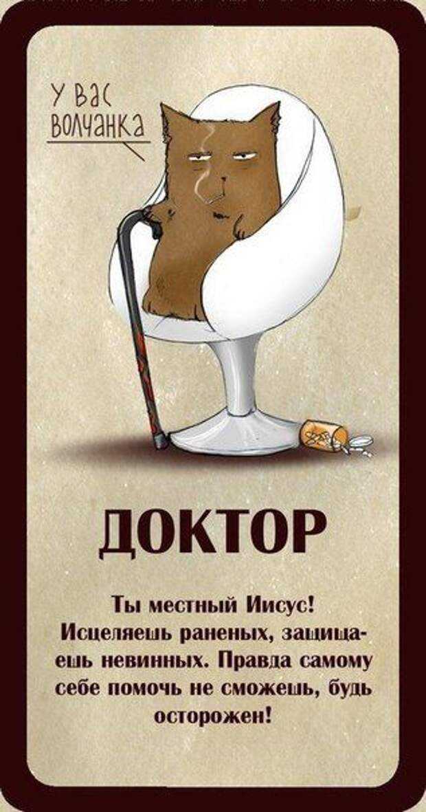 Все мы любим котиков и не редко сравниваем себя с этими своенравными но славными созданиями Так почему бы не узнать какая порода действительна нам ближе всего