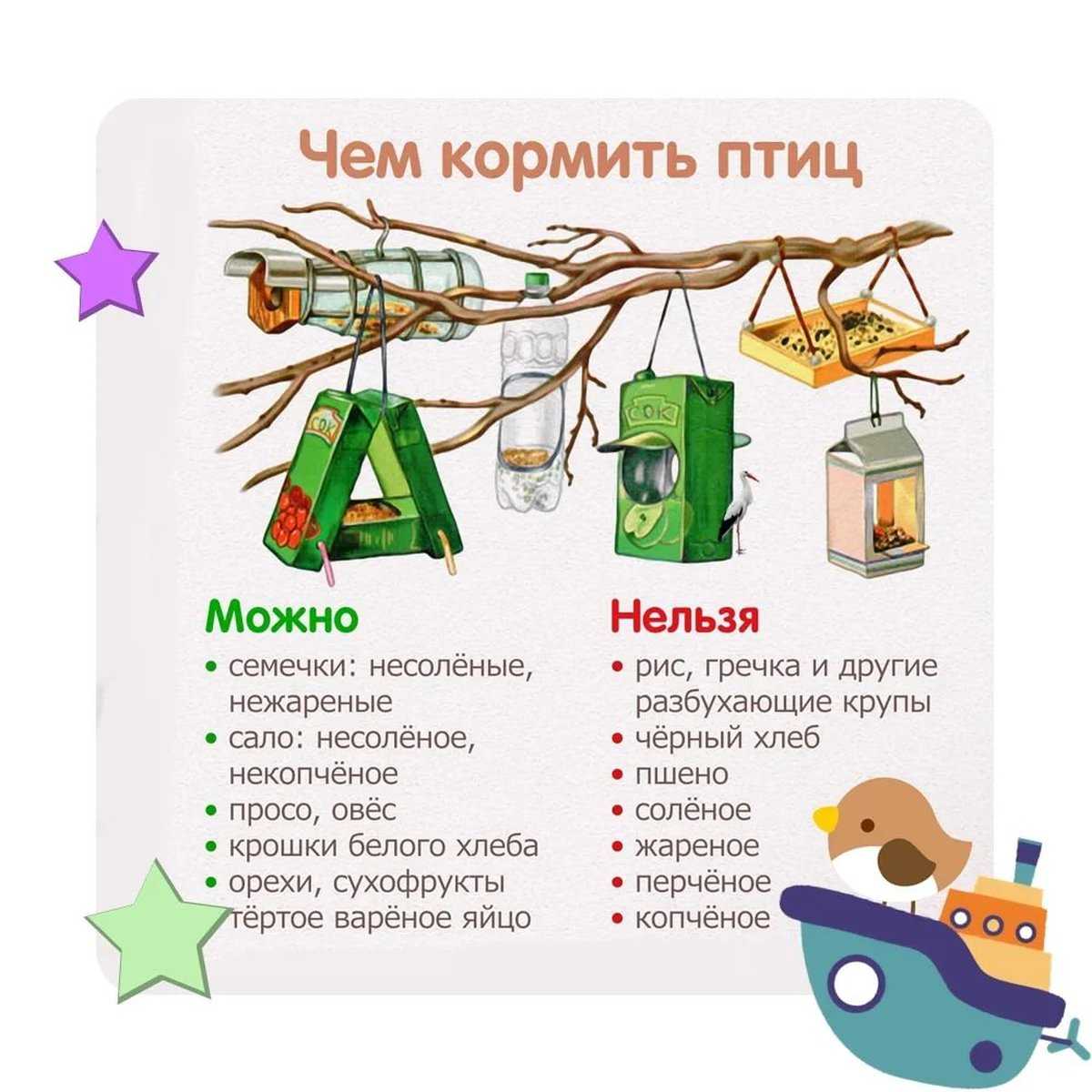 Три простых кормушки из подручных средств - зима - info.sibnet.ru