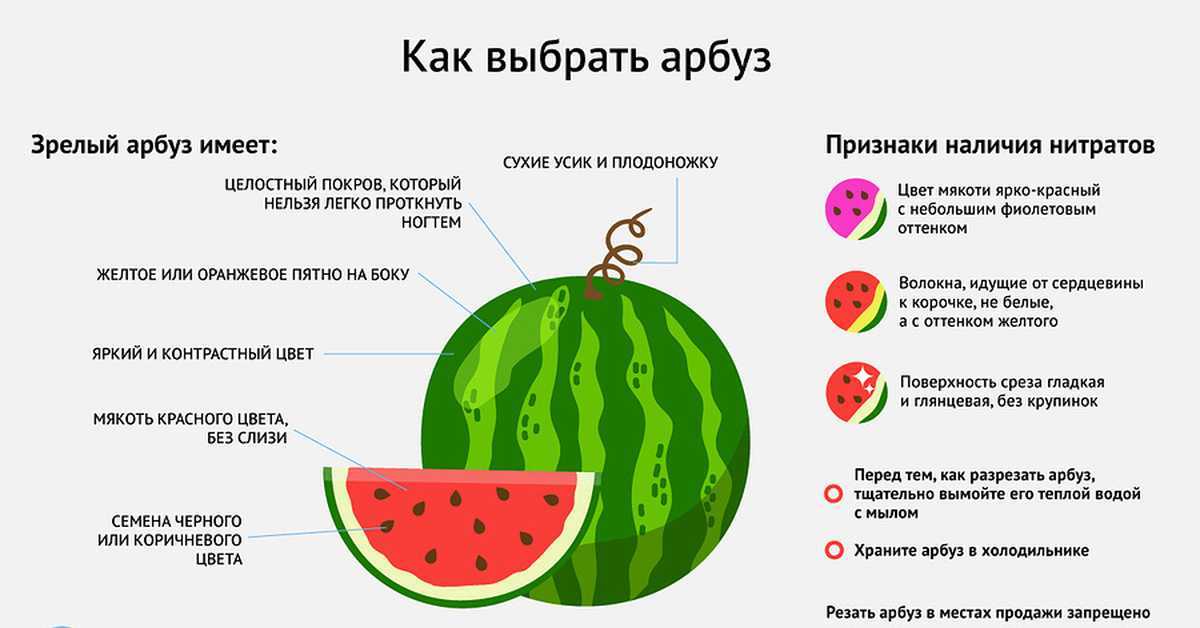 Можно ли арбуз при грудном вскармливании: диета кормящей мамы при лактации