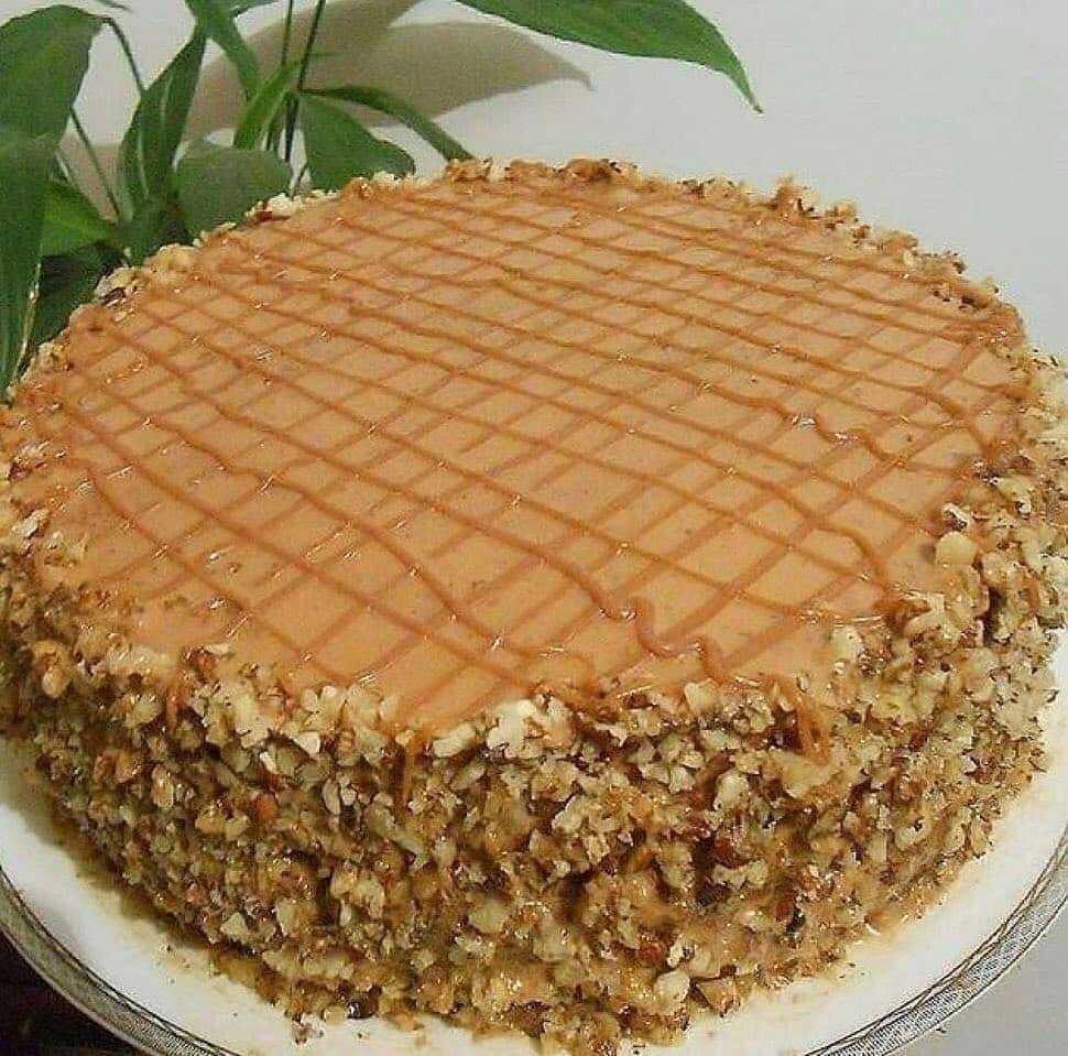 Классический торт «медовик»: 5 простых и вкусных рецептов (пошагово)