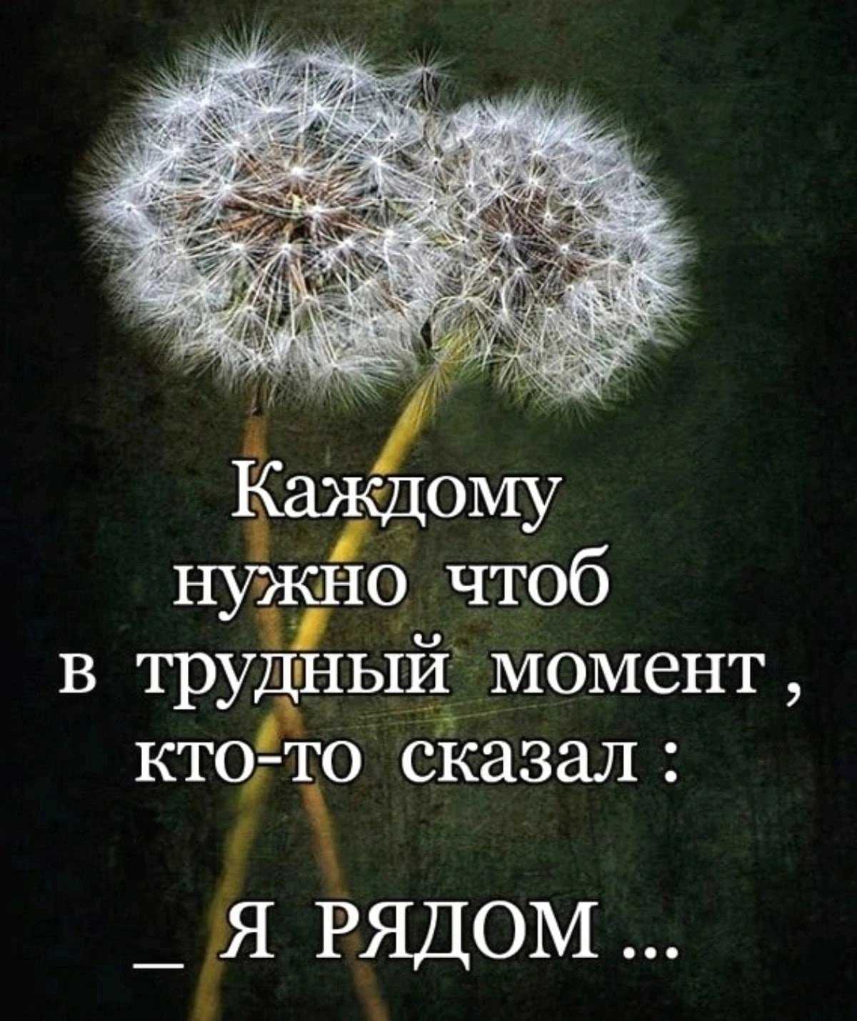100 цитат из историй успеха, которые будут вдохновлять в 2024 году