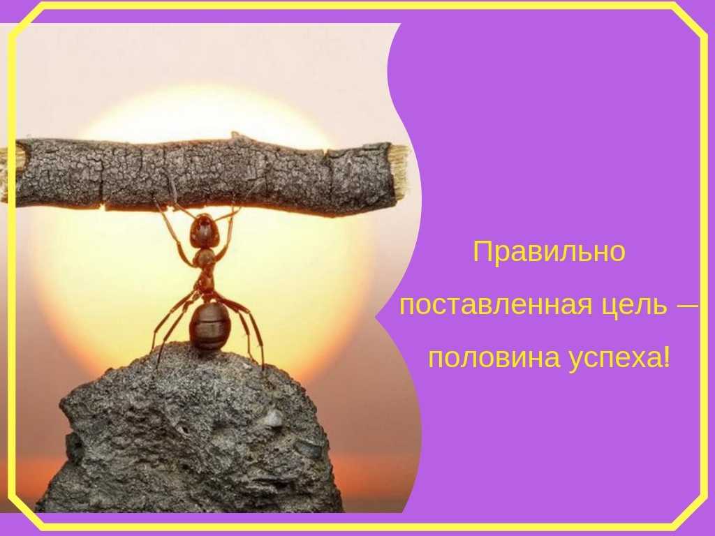 Ставим цели и достигаем их. - коуч на софе