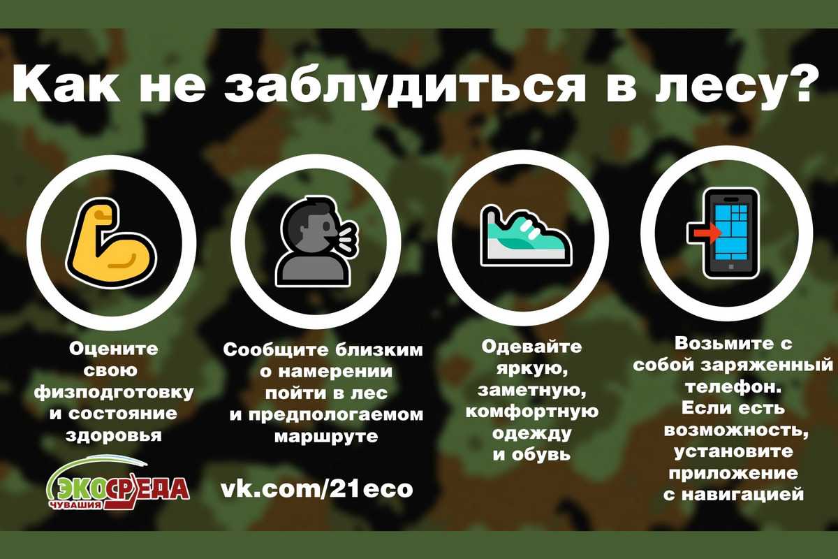 Советы по действиям в случае утери сумки на улице - skaziportal.ru