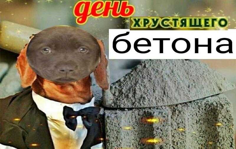 ▶ 25 забавных описаний whatsapp - общий 2024