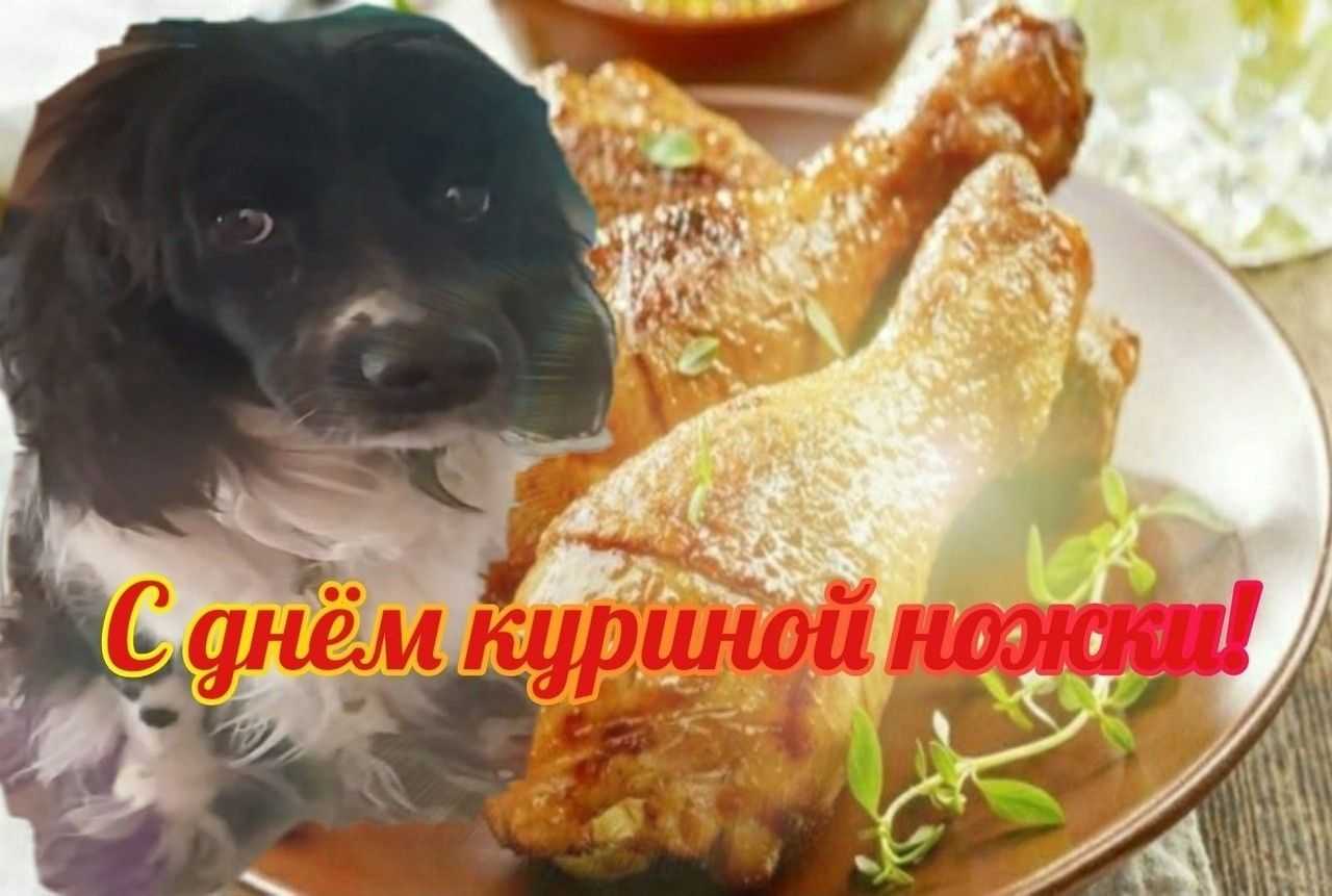 Прикольные открытки с днём сурка 2 февраля 2022 скачать бесплатно