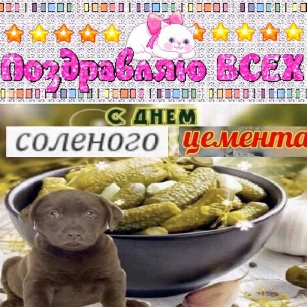 Прикольные картинки с надписями для ватсапа (283 фото)
прикольные картинки с надписями для ватсапа — картинки по интересам