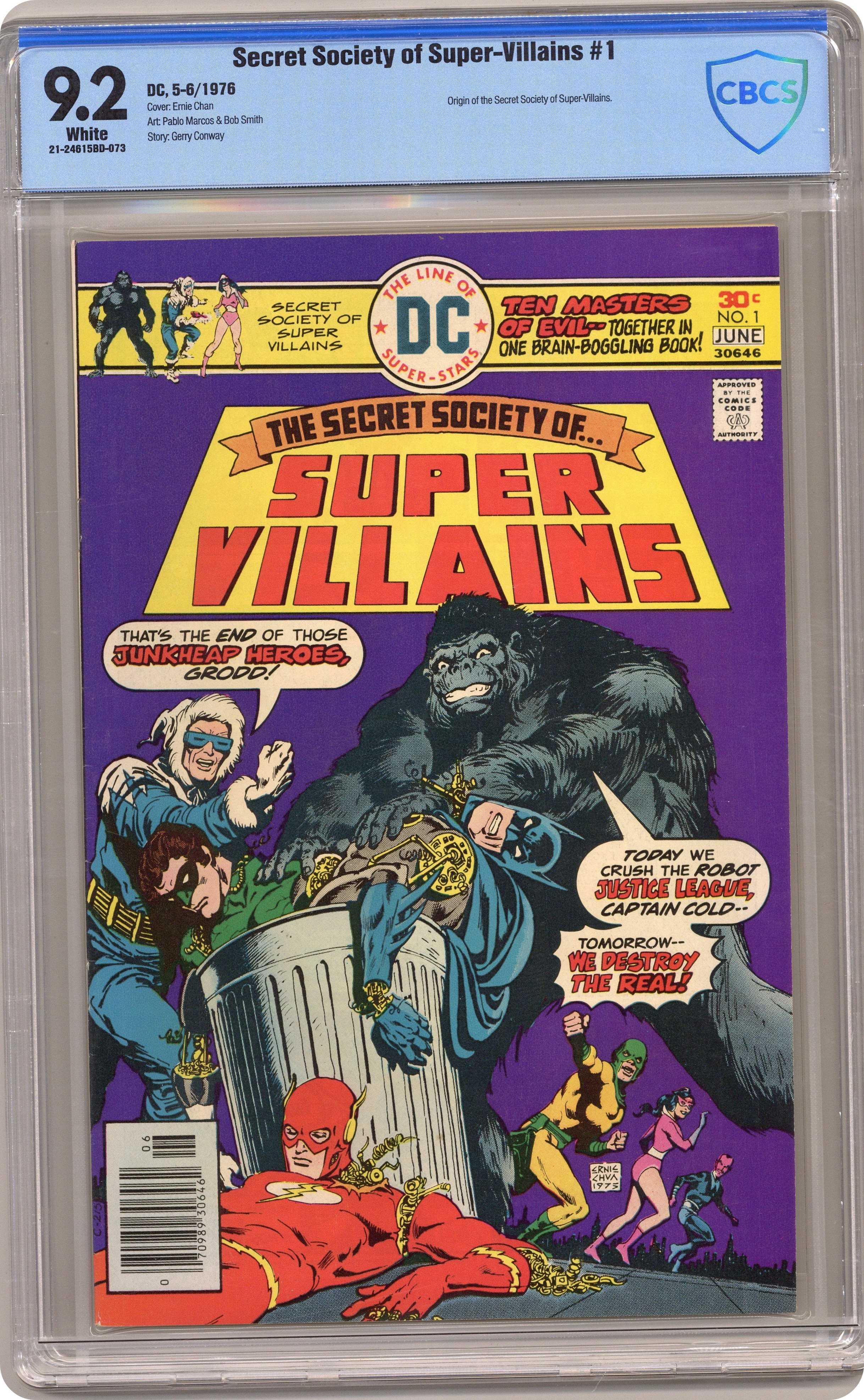 Тайное общество суперзлодеев (secret society of super villains)