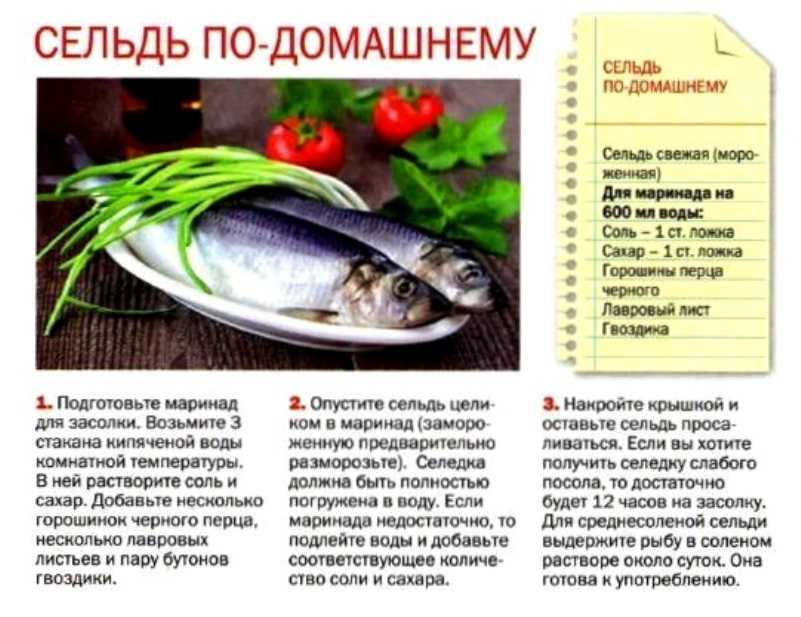 Как посолить селедку: 10 самых вкусных рецептов, полезные советы