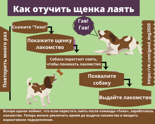 Из статьи узнаешь как отучить щенка или взрослую собаку лаять просто так и по ночам на прохожих гостей соседей других собак Рассказываем про запрещенные методы которые усугубляют ситуацию